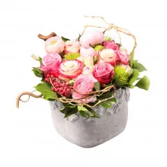 Flowerbox Lena - Belgia