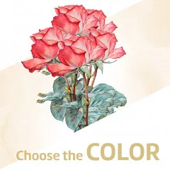 12 Roses long stem without filler - Austria