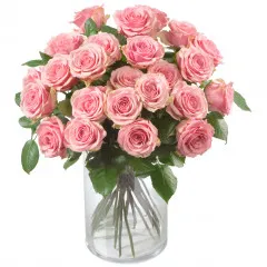 Bunch of Pink Roses - Kazachstan