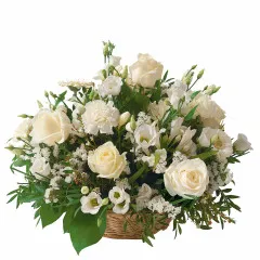 Snow White Arrangement - Armenia