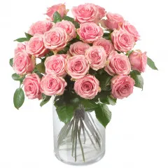 Bunch of Pink Roses - Uzbekistan