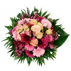 Mała Księżniczka - Syria