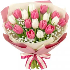 White and pink bouquet, white tulips, pink tulips, gypsophila, bouquet with purple paper