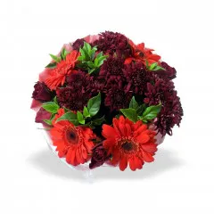 Red Bunch SML - Lesotho