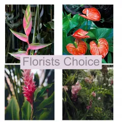 Bukiet Florysty - Samoa