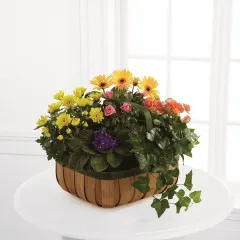 Gentle Blossoms Basket - Portoryko