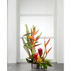 The FTD Island Breeze Arrangement - Bahamas