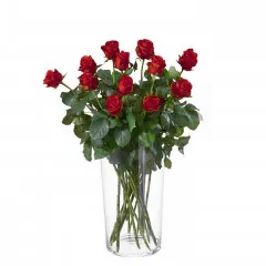 Dozen Red Roses - Russia