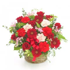 Festive arrangement - Japan