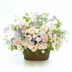 Flowy Pink Arrangement - Japonia