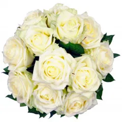 Affection White Roses - Albania