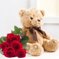 Red Roses and Teddy Bear - Slovenia