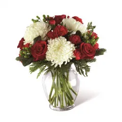 Holiday Enchantment Arrangement - Bahamas
