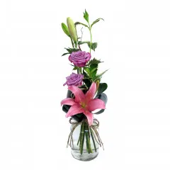 Gwieździsta Kompozycja - Botswana