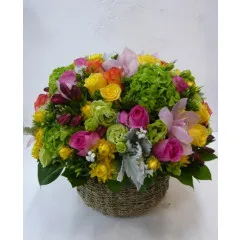 Na Zdrowie - SRA Hongkong (Chiny)