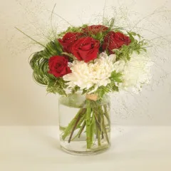 Congratulations - Romania