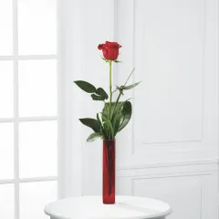 Single Flower - Bahamas