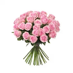 30 Pink Roses - Sweden