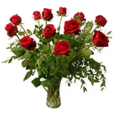 12 red roses - Belgia
