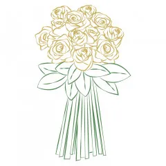 12 roses long stemmed - Indonesia