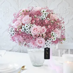 Rosy Gardenia - Indie