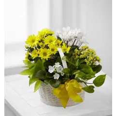 A Bit of Sunshine Basket - Trynidad i Tobago