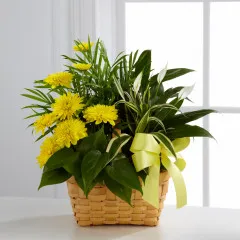 Loving Light Dishgarden - Trynidad i Tobago
