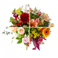 Bouquet of seasonal cut flowers - Netherlands