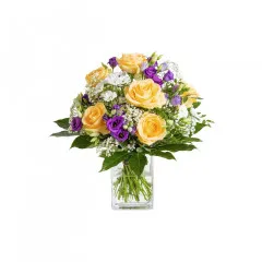 Glad you are here - Germany