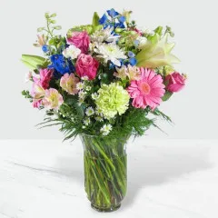 Dolce Vita - Republika Południowej Afryki