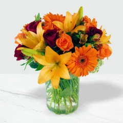 Exotic - South Africa