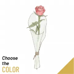 Single Rose - Syria