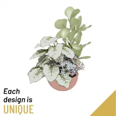 Planted Bowl-Arrangement - Senegal