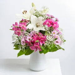 Happy Times - Germany