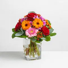 Lovely Greetings - Germany