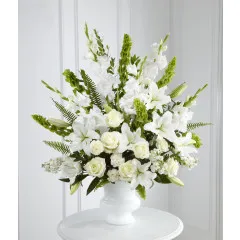 Morning Stars Arrangement - Brazylia