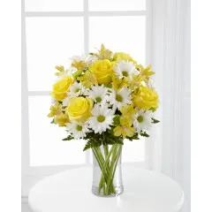 Sunny Sentiments - Brazylia