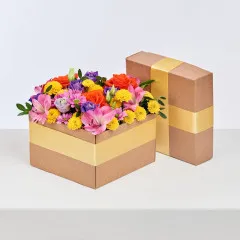 Magiczny i Kolorowy - Czechy