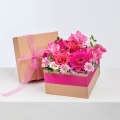 Esencja radości - Czechy