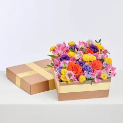 Dla Chwili Radości - Czechy