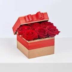 Loves lure - Czechia