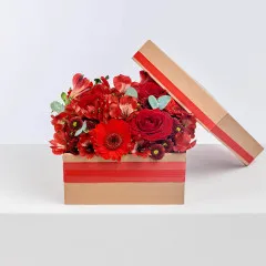 Po Prostu Piękna - Czechy