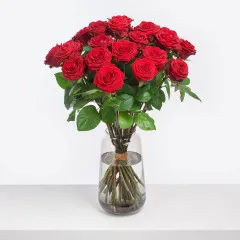 Czarujący Prezent - Czechy