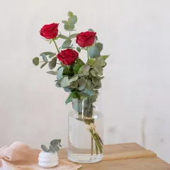3 długie czerwone róże - Hiszpania