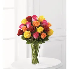 Bright Spark Rose - Dominikana