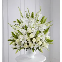 Gwiazdy poranne - Gwatemala