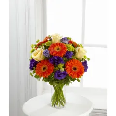 Promienie ukojenia - Panama