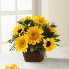 Perfect Sun Bouquet - Meksyk