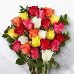 24 Mixed Roses in a bunch - Zambia