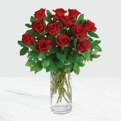 12 Red Roses in a vase - Zambia